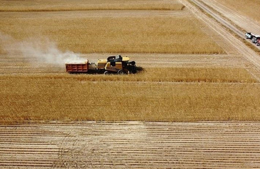 Çiftçilere 331 milyon 664 bin lira tarımsal destek ödemesi bugün yapılacak