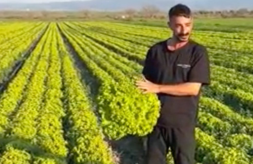 "Satarsam şerefsizim" diyen İzmirli çiftçiye büyük şok! İsyanı pahalıya patladı