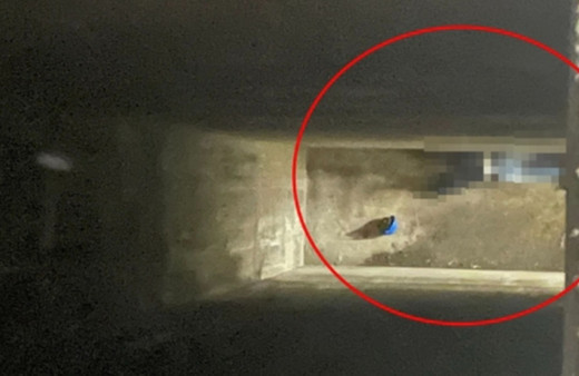 Mardin'de iş kazası! Hidro elektrik santralinde bir işçi öldü