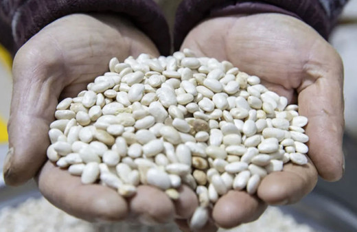 DMM, 'kuru fasulye krizi' iddiasını yalanladı