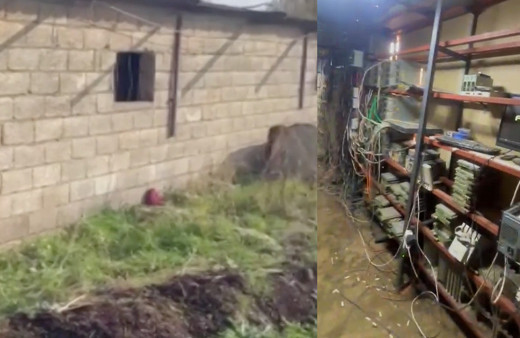 Şanlıurfa'da ahırın içinde öyle bir şey bulundu ki... Günde bin çeyrek altın değerinde...