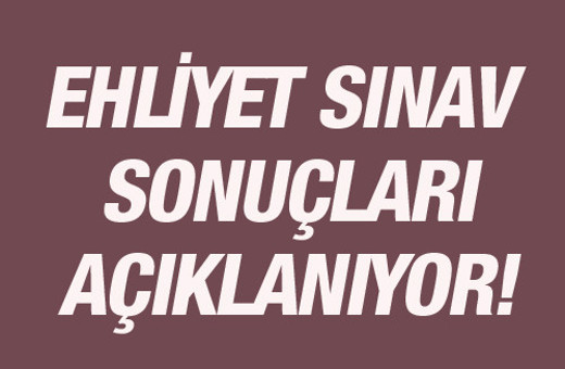 Ehliyet sonuçları MEB sınav sorgu ekranı