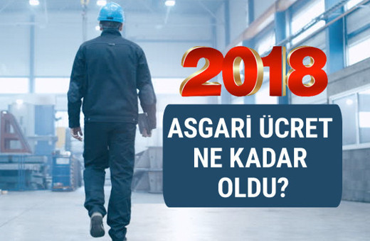 2018 yılı asgari ücretleri belli oldu! Açıklanan rakam...