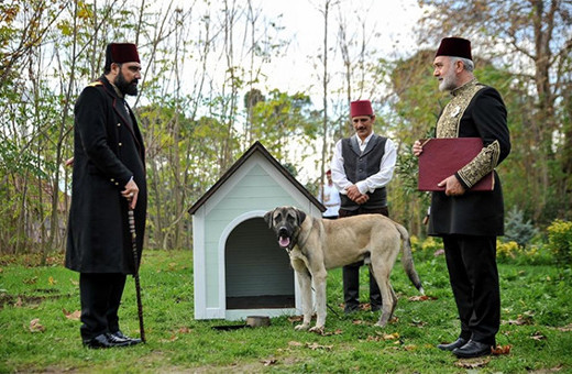 Payitaht Abdülhamid 29. bölüm fragmanı