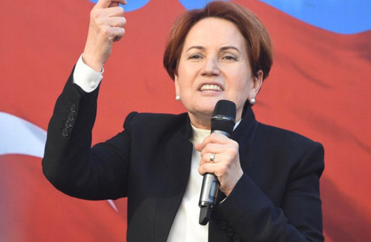 Meral Akşener'e sürpriz danışman