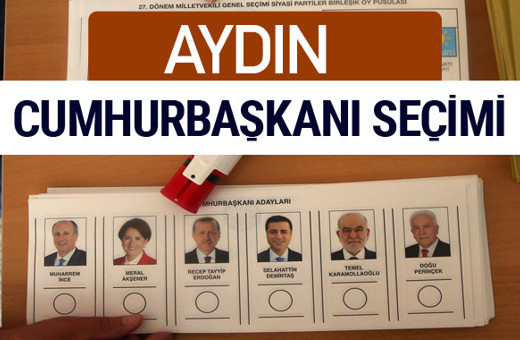 Aydın Cumhurbaşkanları oy oranları YSK Sandık sonuçları 