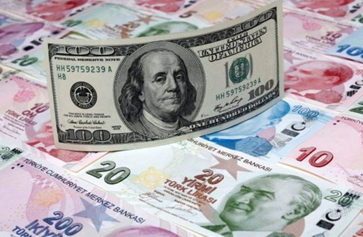 Döviz mevduatı Türk Lirası'nı geçti