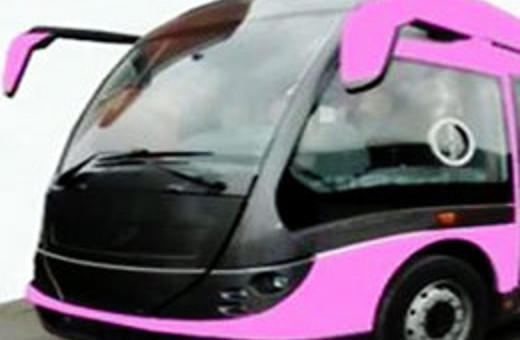 SP'den pembe metrobüse tam destek