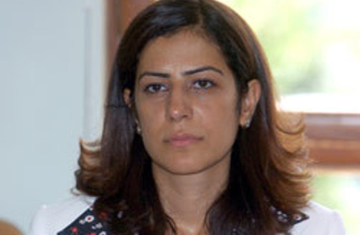 İmralı'ya neden BDP'den Ayla Akat gitti?