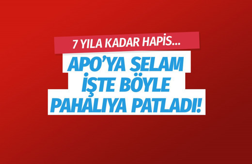 HDP'li Sibel Yiğitalp'e 7 yıla kadar hapis istemi!