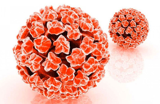 Ankara’da ücretsiz HPV aşısı uygulaması başladı