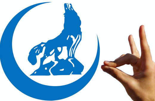 Ülkü Ocakları'ndan 11 maddelik olay bildiri! İmamoğlu ve Canan Kaftancıoğlu var