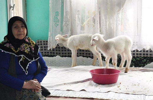Emine Teyze kuzularına yem istedi, 112 ekipleri torun sanıp gıda kolisi götürdü