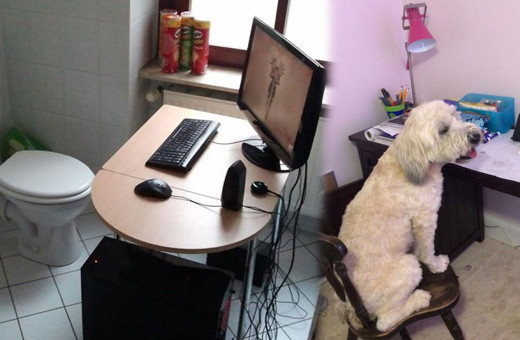 Korona günlerinde evde çalışanlardan ilginç görüntüler!