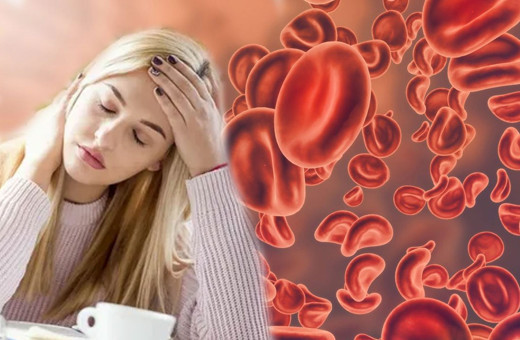 Halsizliğe savaş açan kan yapıcı besinler neler?