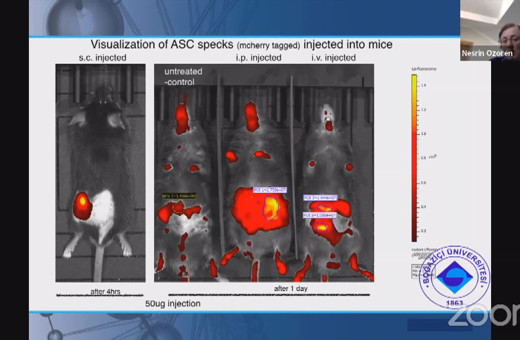 Koronavirüs Türkiye'ye nereden geldi! Prof. Dr. Nesrin Özören açıkladı