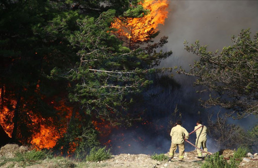 MHP Milletvekili Lütfi Kaşıkçı'dan yangınlarla ilgili provokatif paylaşımlara suç duyurusu