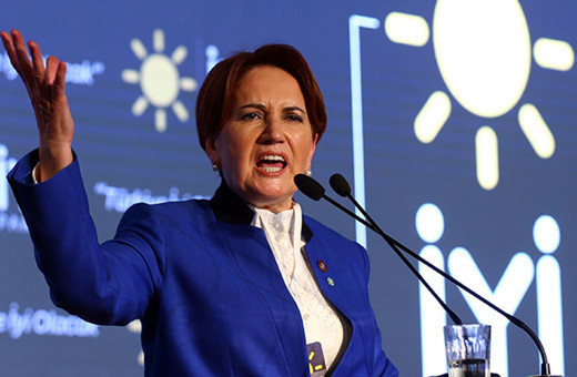 Meral Akşener'den Bakan Bekir Pakdemirli'yi 'orman yangınları' tepkisi