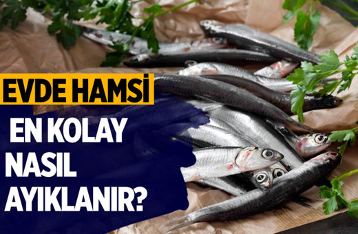 Evde hamsi en kolay nasıl ayıklanır?
