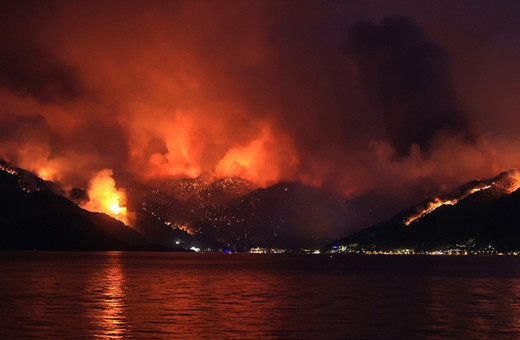 Ömer Çelik'ten yangın söndürme ekiplerine su taşırken hayatını kaybeden Akdemir için taziye mesajı