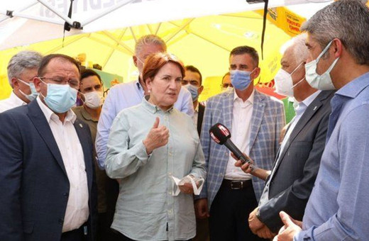 Meral Akşener'den yangın bölgesinde inceleme: Verilen sözlerini takibini şahsen yapacağım