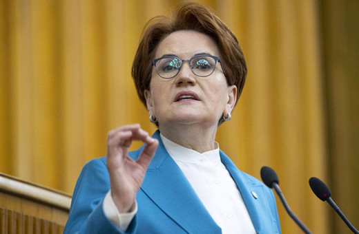 Meral Akşener'den Erdoğan'ın orman yangını ile ilgili yorumuna sert sözler: Yazıklar olsun...