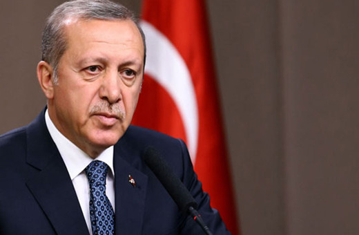 Erdoğan'dan yurt dışı seçmene mesaj: Rekor bir katılım sağladınız