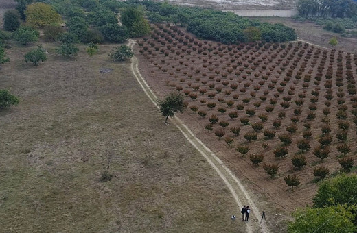 Sosyal konut projesinde 1 milyon arsa için başvurular yarın başlıyor taksitler sudan ucuz