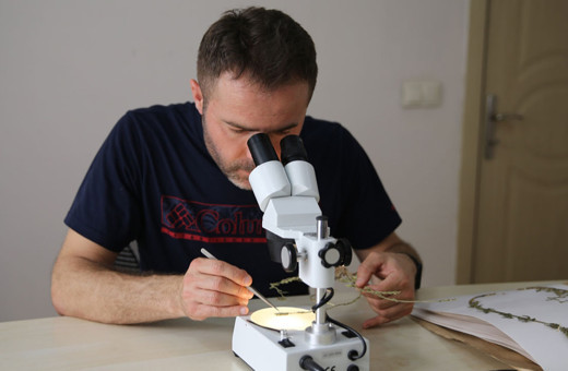 İstanbul Karaburun sahilinde yeni bir endemik bitki türü keşfedildi