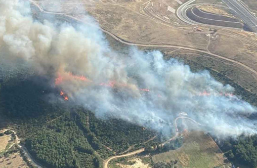 İzmir'de orman yangını! Çok sayıda ekip bölgede alevlerle mücadele başladı...
