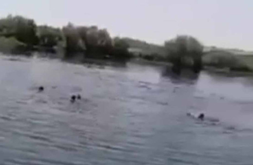 Piknik faciası kamerada! Onlar suda çırpındı, yakınları gözyaşı döküp çığlık atarak izledi