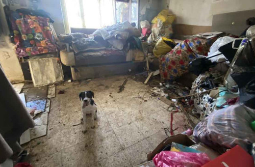 Tam bir mikrop yuvası! Kötü koku yayılan evden 2 kamyon çöp ile 4 köpek çıktı