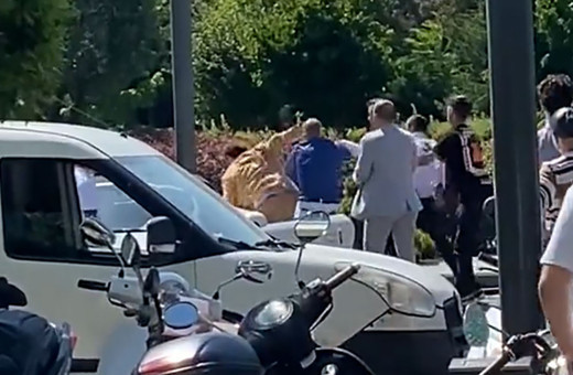 Masterchef jürisi Danilo Şef kendi restoranında kendi elemanlarınca dövüldü! İşte o anlar