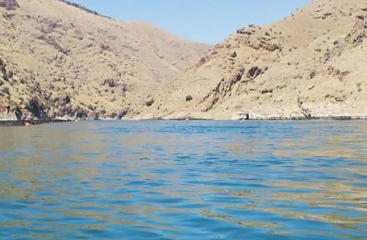 Alabalık tesisinde çalışan kadın mühendis, tekneden suya düşüp kayboldu!