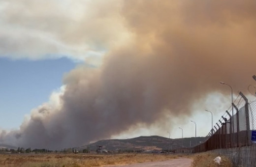 Çanakkale'de orman yangını çıktı