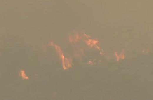 Çanakkale’de orman yangını