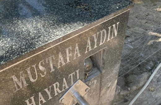 Köy çeşmesinde görülen ilginç canlı merak konusu oldu