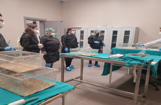 Uzmanlar açıkladı, hayvan deneyleri bilim dünyasına katkı sağlıyor