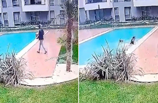 Kurye lüks siteye girdi kısa yolu tercih etti farketmeyince olanlar oldu