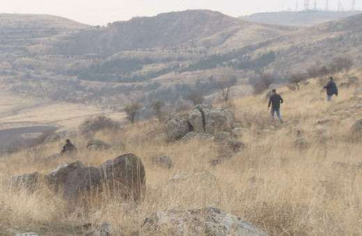 Ankara'da başıboş sokak köpeği sürüsü okula giden çocuğa saldırıp parçaladı!