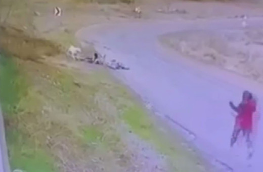 Yine Ankara yine başıboş köpek saldırısı! Bisiklet binen çocuğa saldırdı