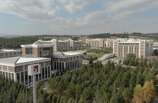 Koyunların kalp kapakçığının insan hücreleriyle uyumlu olduğu belirlendi