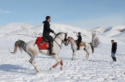 Asırlık gelenek cirit Erzincan ve Bayburt’ta yaşatılıyor