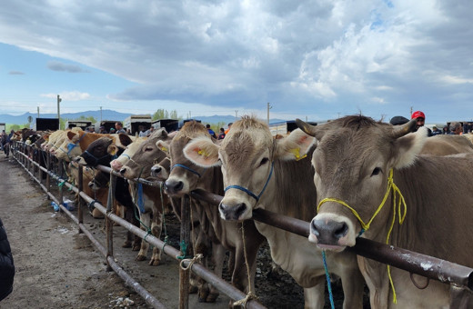 Uzmanı uyardı, o hastalık ağızda oluşan lezyonlarla kendini gösteriyor