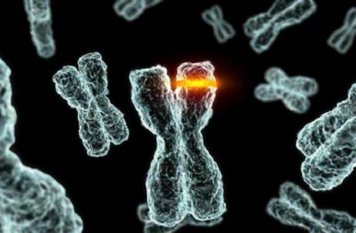 Kromozom bozukluğunu genetik testlerle teşhis etmek mümkün