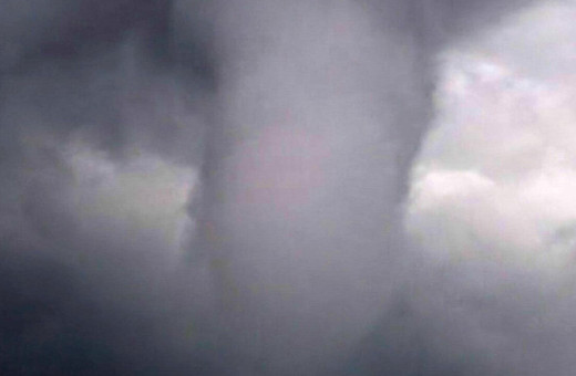 Hatay'da dev hortum zeytin ağaçlarını kökünden söküp uçurdu