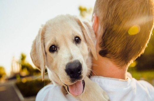 Düzce’de hayırseverlerin desteğiyle yapılan Azmilili İlkokulu açıldı