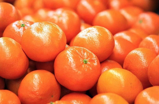 Okul kantinlerinde "meyve ve çorba günü" etkinliği başlatıldı