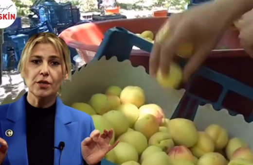 Sergül Keskin: Kağızman'da kooperatif kuracağız