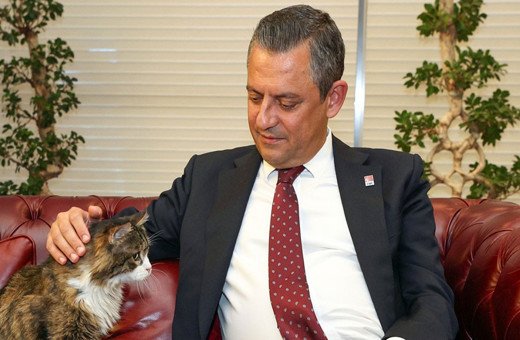 Özgür Özel'den CHP'nin kedisi "Şero" paylaşımı